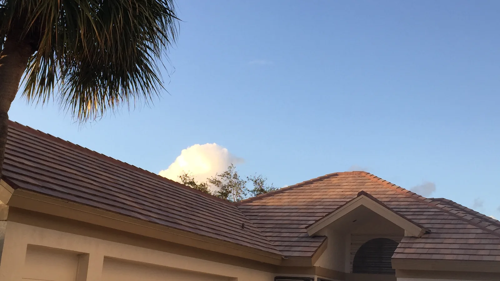 Installed Saxony 900 tile roof on a single-story stucco home with a palm tree.