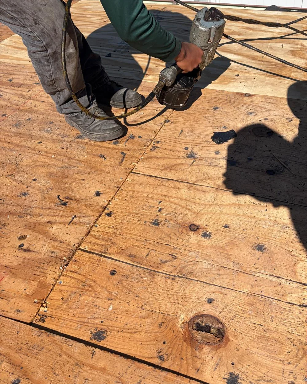 Roofing crew refastening plywood roof decking with a pneumatic nailer in Miramar